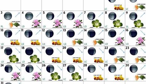 Comprendre le calendrier lunaire - Détente Jardin