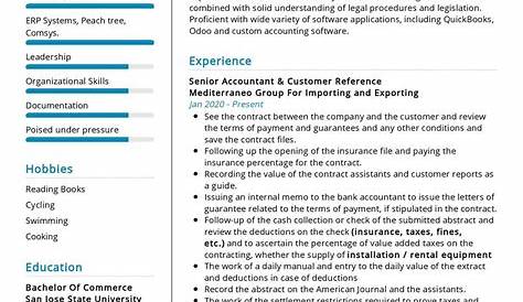 Senior Accountant CV example + guide [Land a top job]