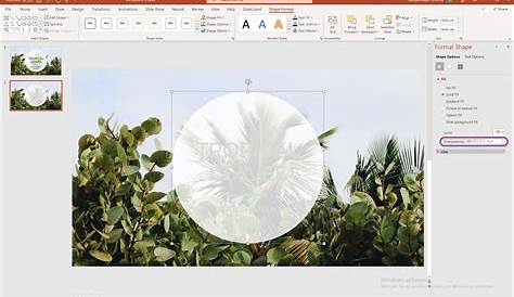 How to Set Transparency for Images and Text on Microsoft PowerPoint