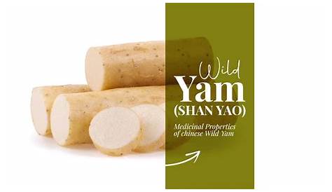 Shan Yao 700g+/- /pack (Sold per Pack) — HORECA Suppliers | Supplybunny
