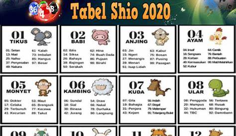 7 Shio Ini akan Untung Banyak di Tahun 2024:Shio Tikus, Shio Naga