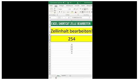 Excel - per Shortcut Spalten und Zeilen automatisch anpassen