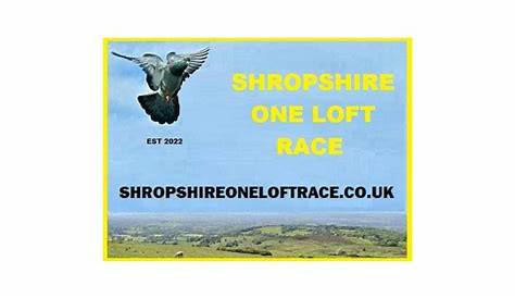 The UK Premier One Loft Race