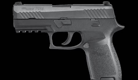 Sig P320 Owners Manual