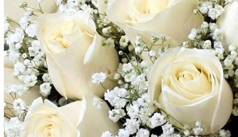 Según su significado las rosas blancas son las más versátiles