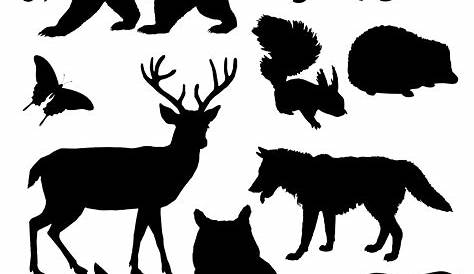 Black vector outline wild forest animals silhouettes By Microvector