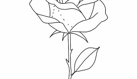 Simple rose tattoo | Rose drawing simple, Rose drawing tattoo, Rose tattoos