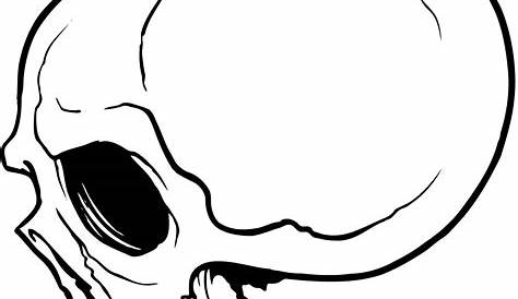Free Skull Drawings Pictures, Download Free Skull Drawings Pictures png