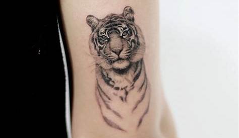 Simple Small Tiger Tattoo Designs 62 Mind Blowing On Hand