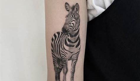 Simple Zebra Tattoo Top 50 Best Designs s, s