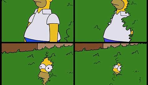 Homer simpson bush Memes