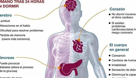 30 Devastadoras Consecuencias De No Dormir Lo Suficiente Business