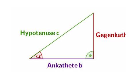 Sinus, Kosinus und Tangens - Geometrie - Mathe - Digitales Schulbuch
