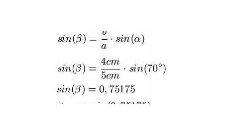 Sinussatz ⇒ ausführliche und verständliche Erklärung