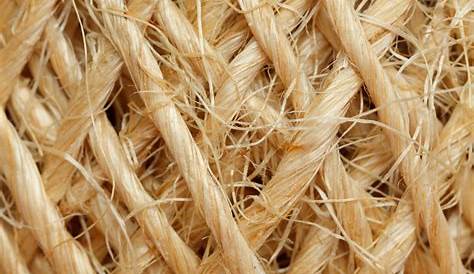 Sisal Fiber Pictures Natural Shred 125g, Floral Supplies