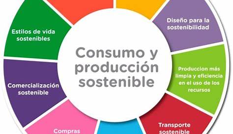 Consumo y producción sostenible: la mejor elección - Noticias Procam