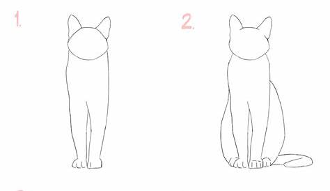 Learn to draw a cat: step-by-step instructions In this step-by-step you