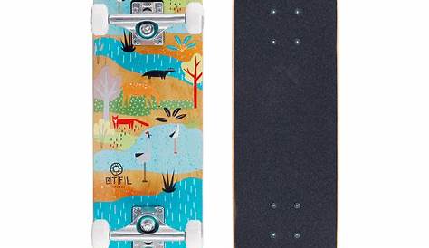Apollo Skateboard »Skateboard Kinder und Erwachsene Plain Wood Board