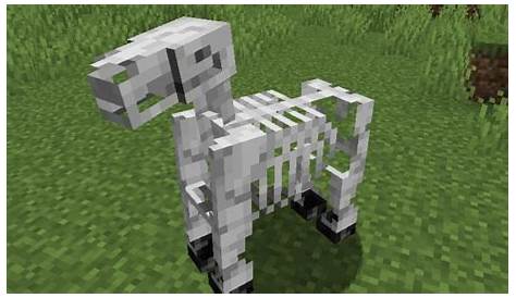 Skeletal Horse Minecraft