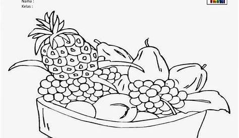 √ 20+ Sketsa Gambar Buah-buahan Yang Mudah Diwarnai Untuk Anak Paud, TK, Sd