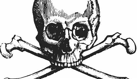 Skull and crossbones clipart. Free download transparent .PNG | Creazilla
