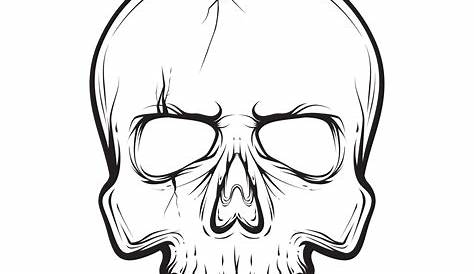 Human skull black and white Royalty Free Vector Image