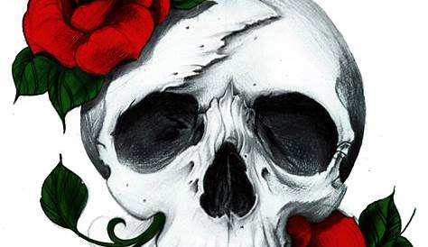 Skull with flowers, with roses. Drawing by hand. . Illustration Digital
