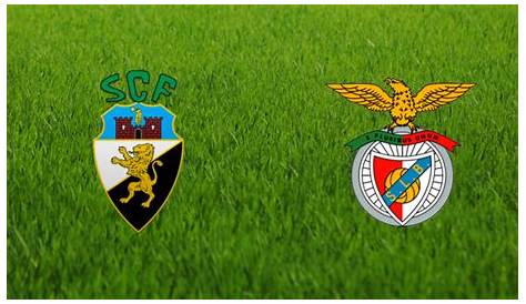 SL Benfica B vs FC Porto B live score, H2H and lineups | Sofascore