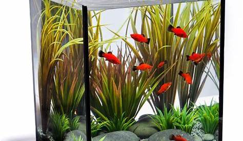 Small Fish Tank Design Aquarium Freshwater Aquarium Ideas