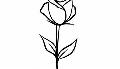 Vector isolated simple single rose drawing. Colorless black and white