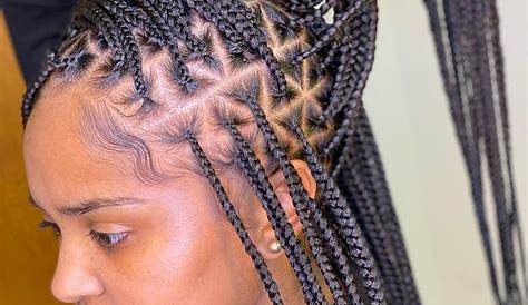 Small Triangle Box Braids With Parts, Hair By Arie Braided
