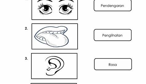 Latih Tubi Sains Tahun 1