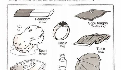 Lembaran Kerja Sains Tahun 1 Penyerapan / Unit 8 Penyerapan Worksheet