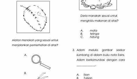 Lembaran Kerja Sains Tahun 1 Latihan Sains Tahun 1 Unit Deria Manusia