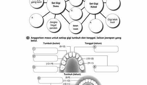 Soalan Latihan Sains Tahun 3 Kelas Makanan - Reverasite