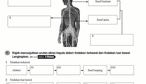 Koleksi Soalan Topikal Sains Tahun 4 KSSR Semakan