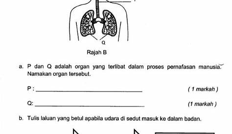 Format Soalan UASA Bahasa Melayu Terkini KPM - FLIP.MY
