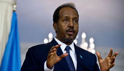 Somali President Hassan Sheikh Mohamud's plane 'catches fire' - BBC News