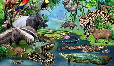 Native Amphibians Of India - WorldAtlas.com