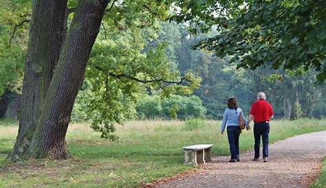 Gesund im Alltag: Warum es sich lohnt, spazieren zu gehen | BRIGITTE.de