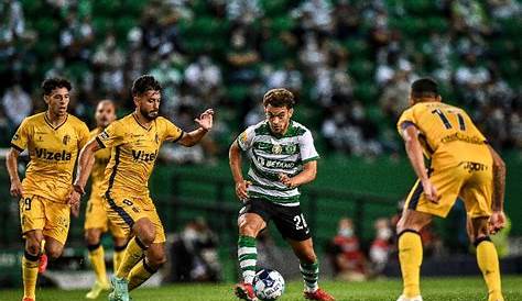 sporting cp vs Vizela | All Sports Predictions