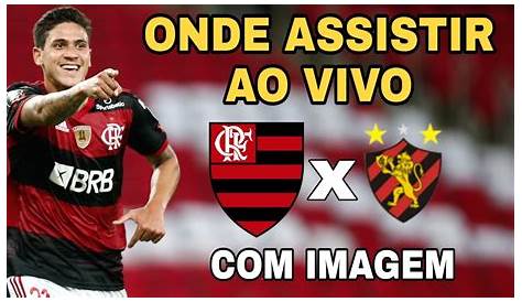 Jogo Do Flamengo Hoje Ao Vivo Na Globo Online / BrasileirÃ£o ao vivo