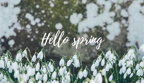 Spring Aesthetic Laptop Wallpapers - Wallpaper Cave