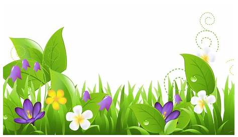 Spring Flowers Backgrounds | Brown, Flowers, Grey, White, Yellow