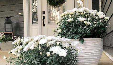 Spring Front Porch Decor With Mums