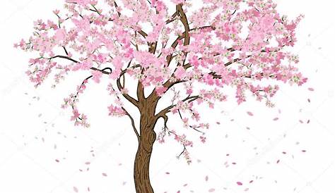 Spring Tree Drawing How To Draw S