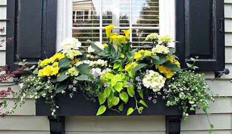 Spring Window Box Decor