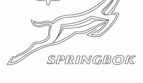 Springbok Rugby Colouring Pages - Randy Kauffman's Coloring Pages