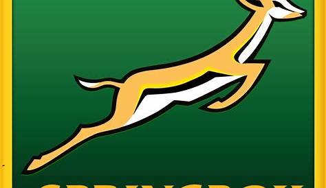 Springbok Rugby in South Africa, South Africa Rugby Team