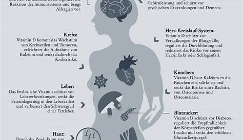 Wissenswertes: Kohlenhydrate - Blumencool - Low Carb Blog